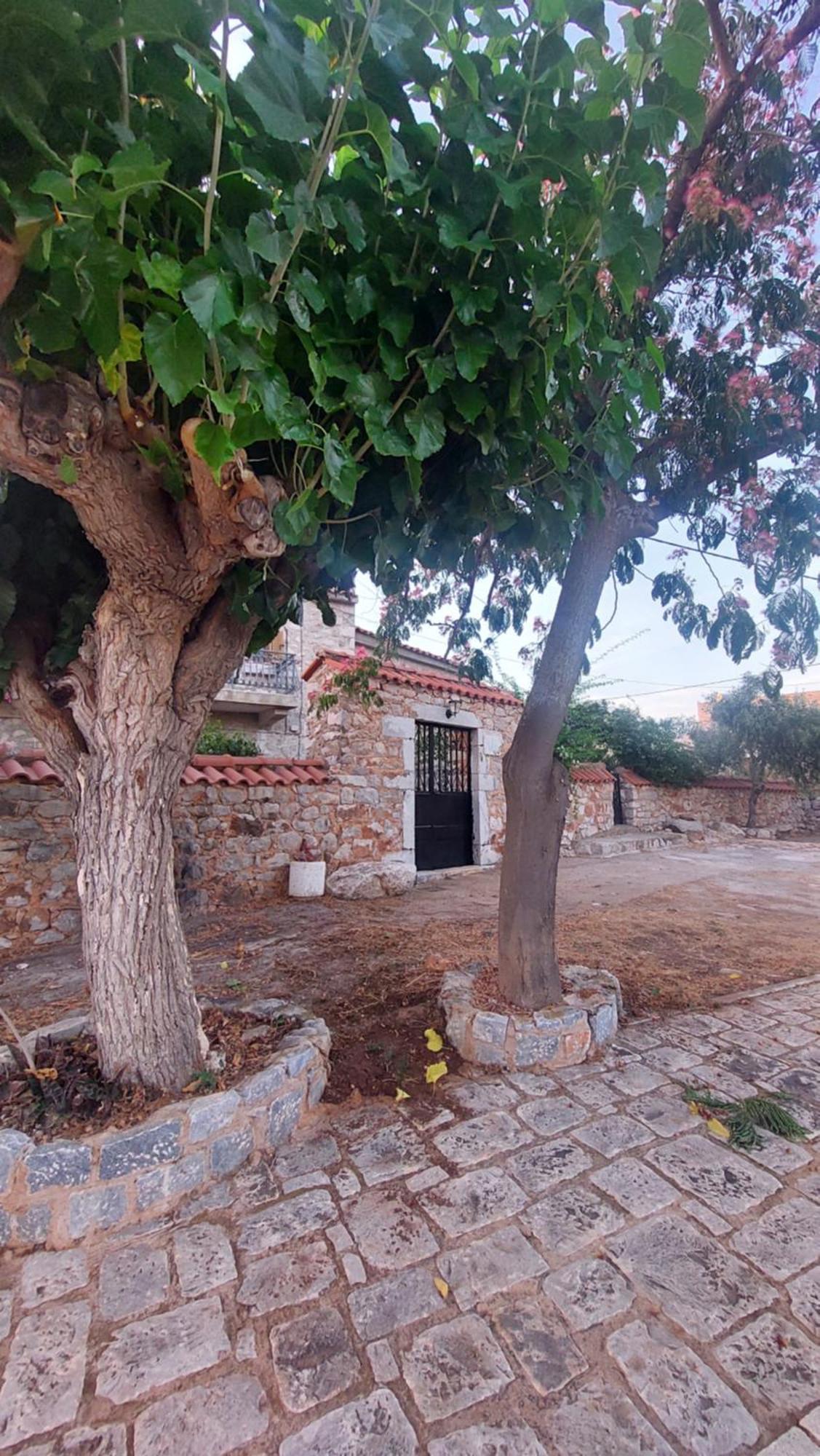 200 Year Old 'Kamara Suite' With Private Garden Pírgos Dhiroú Dış mekan fotoğraf